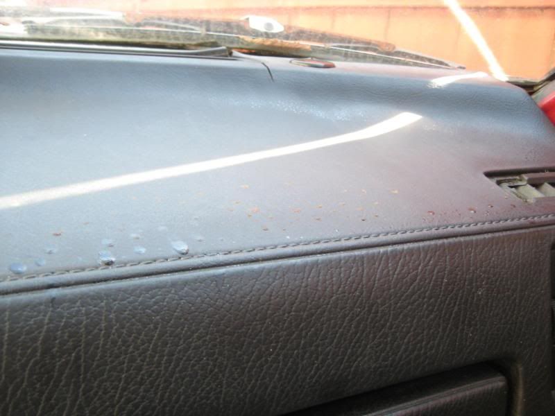 What causes these wet spots?